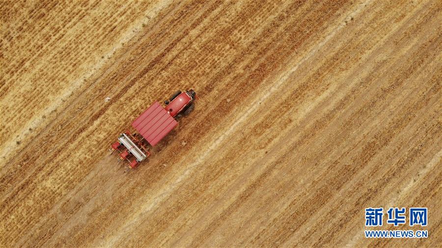 (新華全媒頭條·圖文互動)(7)一個傳統(tǒng)農(nóng)業(yè)縣的脫貧之路——來自河北新河的調(diào)查報告