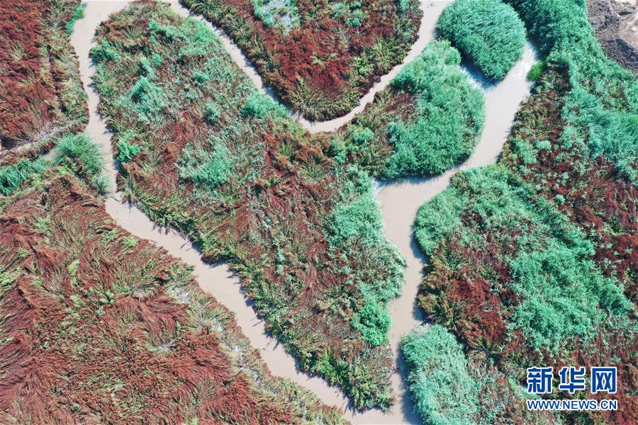 (在習(xí)近平新時(shí)代中國(guó)特色社會(huì)主義思想指引下——新時(shí)代新作為新篇章·圖文互動(dòng))(6)山水之變看交城