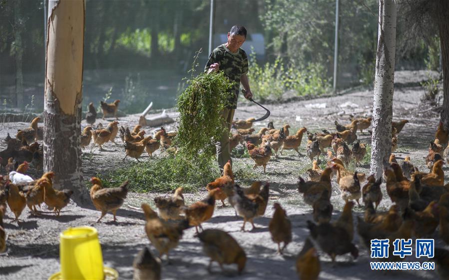 （新華全媒頭條&middot;圖文互動(dòng)）（6）同心援疆，&ldquo;壯闊&rdquo;祖國西北角