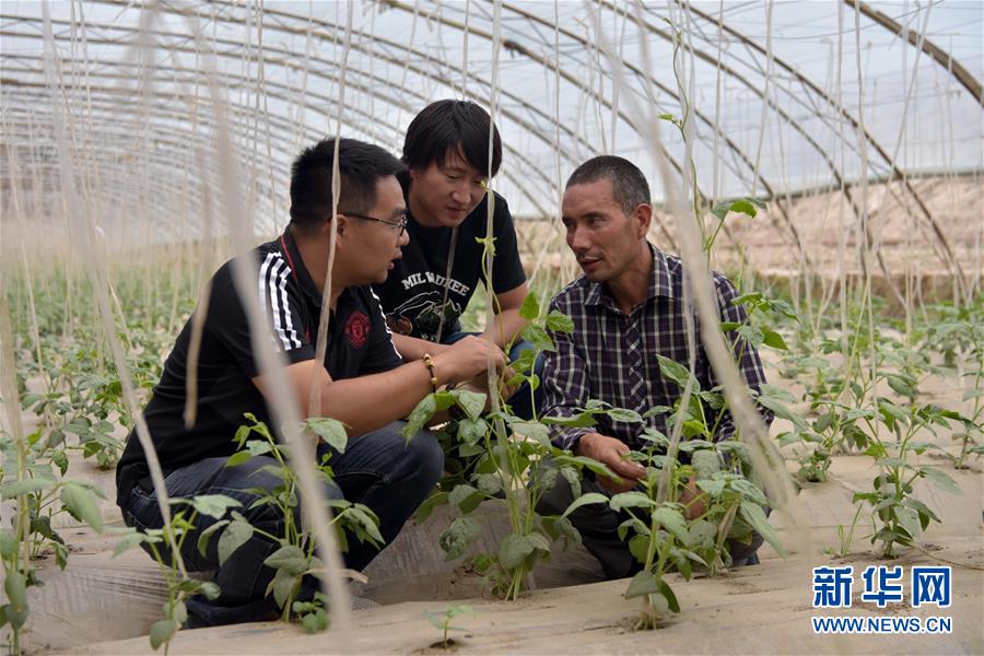 （新華全媒頭條&middot;圖文互動(dòng)）（10）同心援疆，&ldquo;壯闊&rdquo;祖國西北角