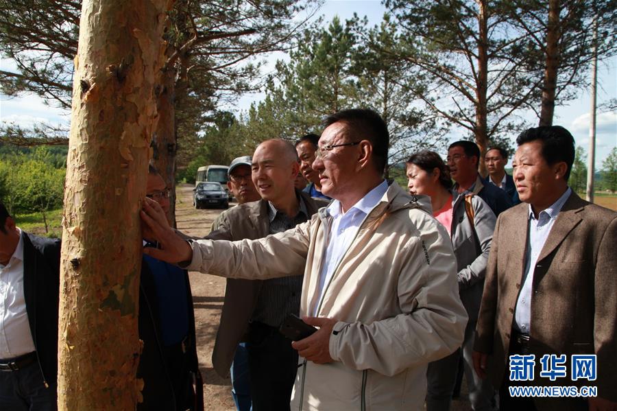 （新華全媒頭條&middot;圖文互動(dòng)）（4）用生命守護(hù)那片綠色&mdash;&mdash;追記內(nèi)蒙古大興安嶺林區(qū)干部于海俊