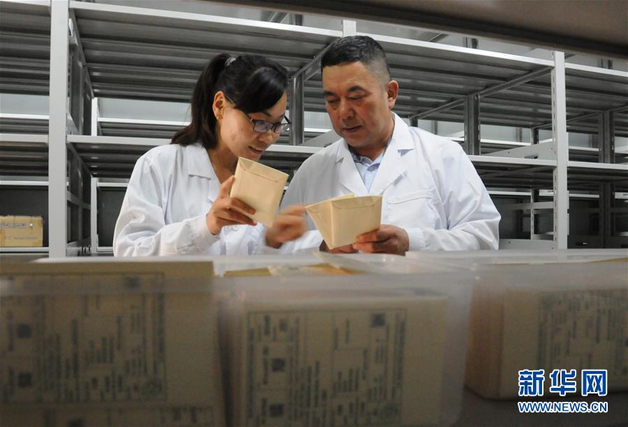 （愛(ài)國(guó)情 奮斗者&middot;圖片互動(dòng)）（2）張永平：像打造&ldquo;中國(guó)芯&rdquo;一樣打造&ldquo;中國(guó)葵&rdquo;