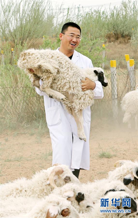 （壯麗70年&middot;奮斗新時代&mdash;&mdash;共和國發(fā)展成就巡禮&middot;圖文互動）（3）生態(tài)美、百姓富&mdash;&mdash;品讀嶄新&ldquo;寧夏畫卷&rdquo;