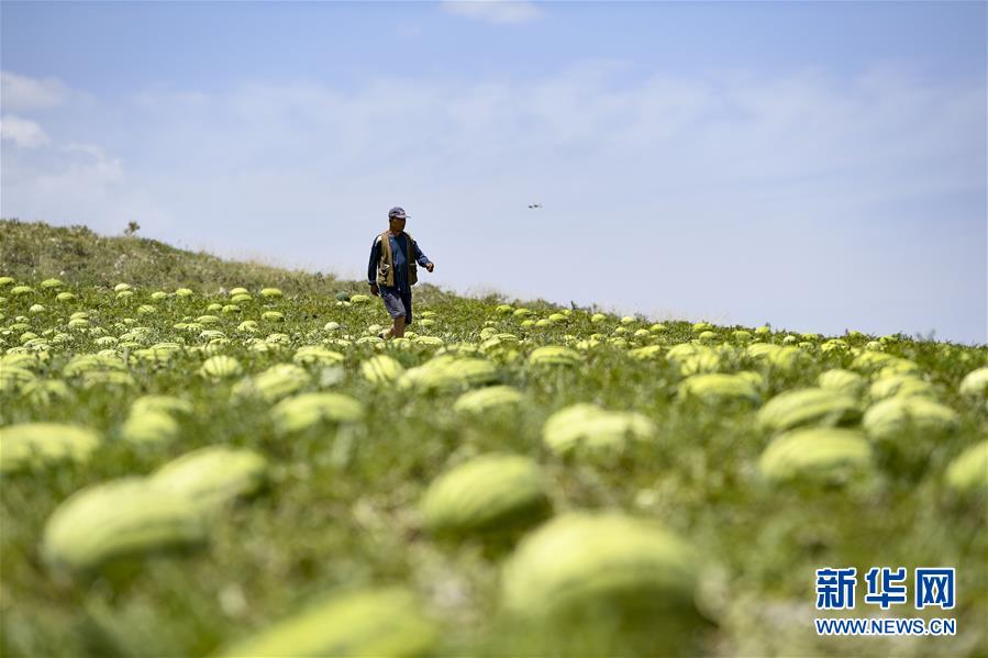 （壯麗70年&middot;奮斗新時代&mdash;&mdash;共和國發(fā)展成就巡禮&middot;圖文互動）（4）生態(tài)美、百姓富&mdash;&mdash;品讀嶄新&ldquo;寧夏畫卷&rdquo;