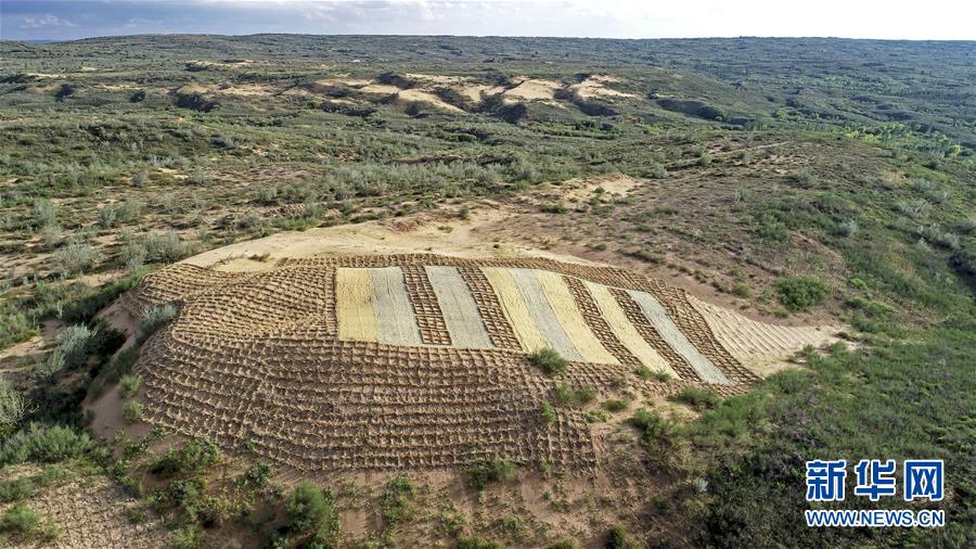 （壯麗70年&middot;奮斗新時代&mdash;&mdash;共和國發(fā)展成就巡禮&middot;圖文互動）（6）生態(tài)美、百姓富&mdash;&mdash;品讀嶄新&ldquo;寧夏畫卷&rdquo;