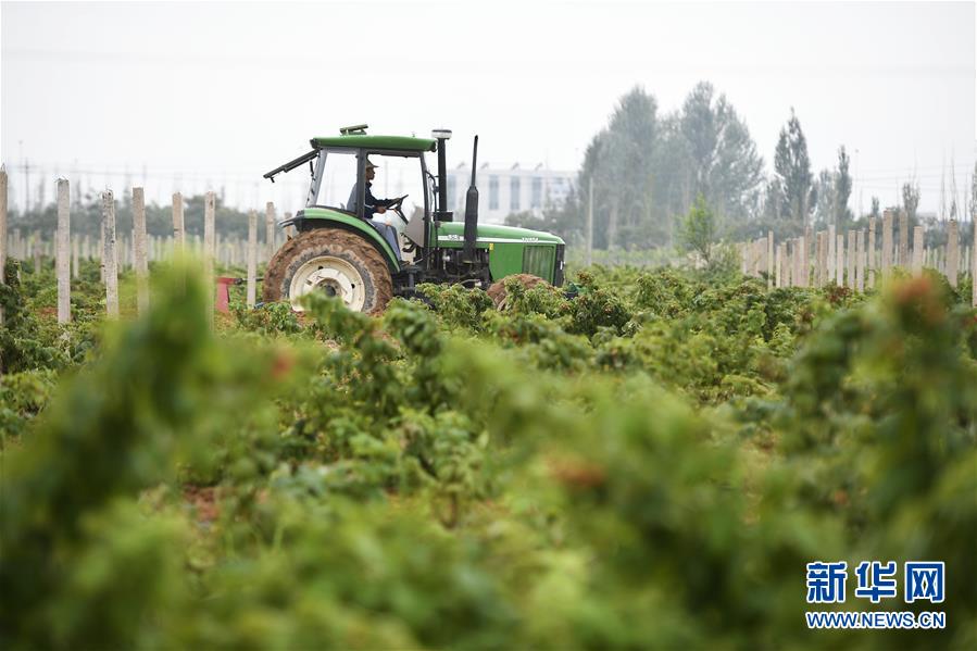 （壯麗70年&middot;奮斗新時代&mdash;&mdash;共和國發(fā)展成就巡禮&middot;圖文互動）（10）生態(tài)美、百姓富&mdash;&mdash;品讀嶄新&ldquo;寧夏畫卷&rdquo;