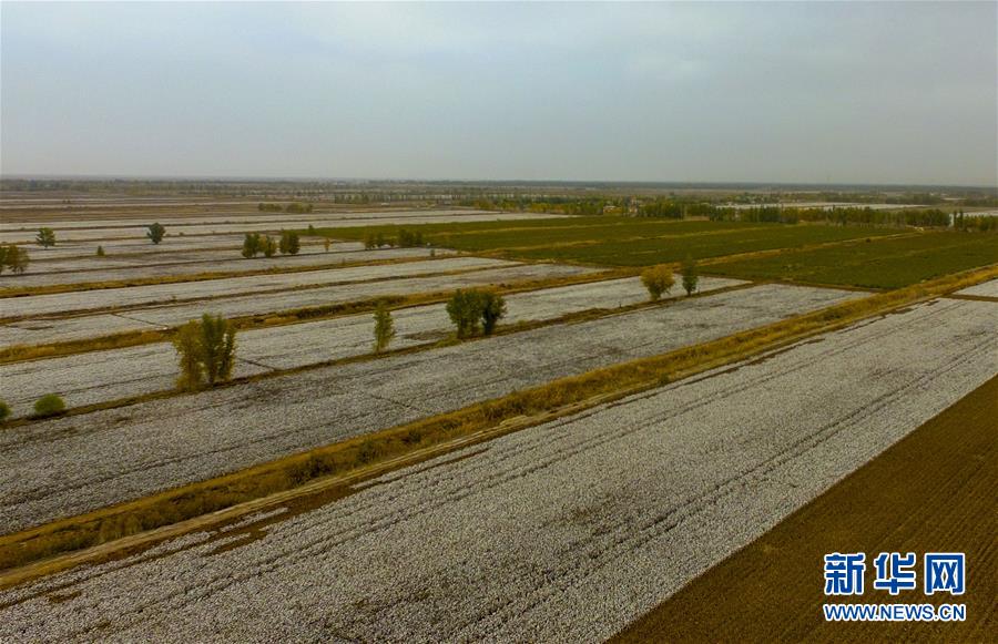 (壯麗70年·奮斗新時(shí)代——共和國發(fā)展成就巡禮·圖文互動(dòng))(1)鑄劍為犁造綠洲 安邊固疆筑“長城”——新疆生產(chǎn)建設(shè)兵團(tuán)維穩(wěn)戍邊改革發(fā)展紀(jì)實(shí)