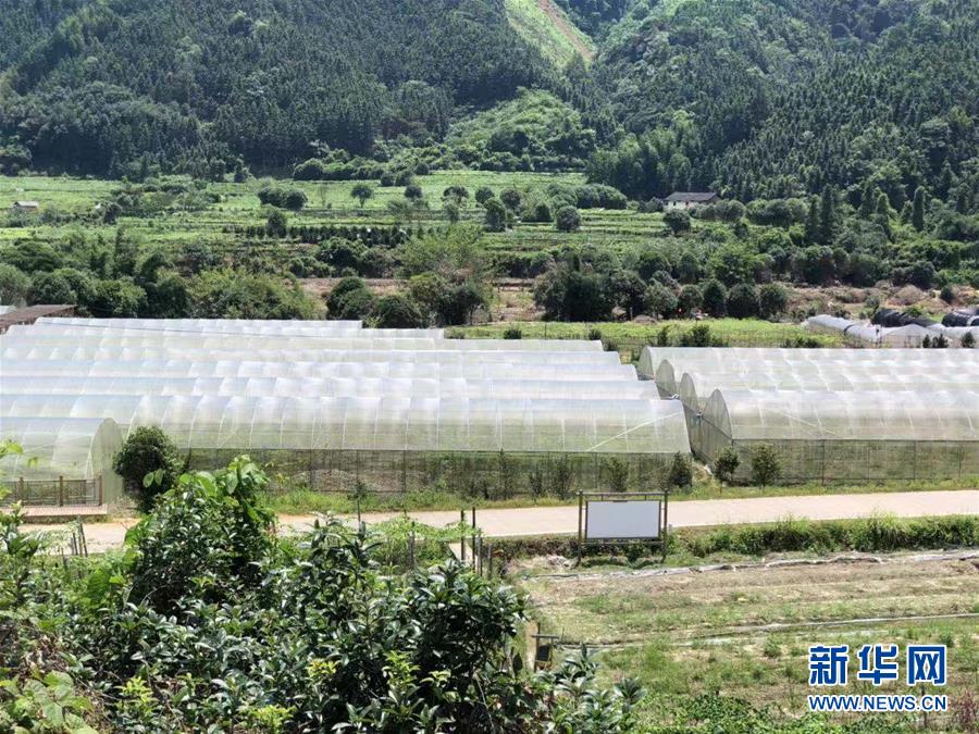 (脫貧攻堅·圖文互動)(2)貧困戶成了致富帶頭人