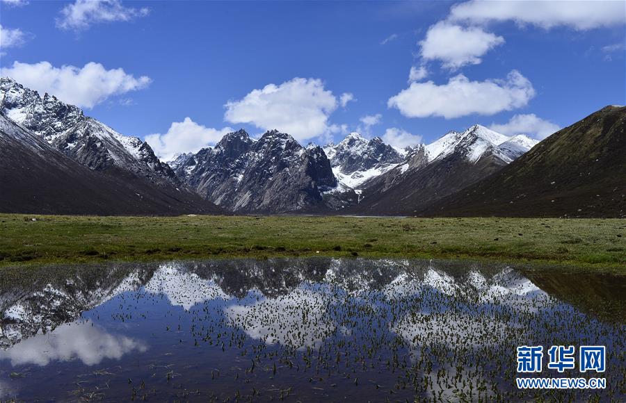（今日關(guān)注&middot;第一屆國家公園論壇&middot;圖文互動(dòng)）（6）首個(gè)國家公園什么樣？專家?guī)阆?ldquo;睹&rdquo;為快
