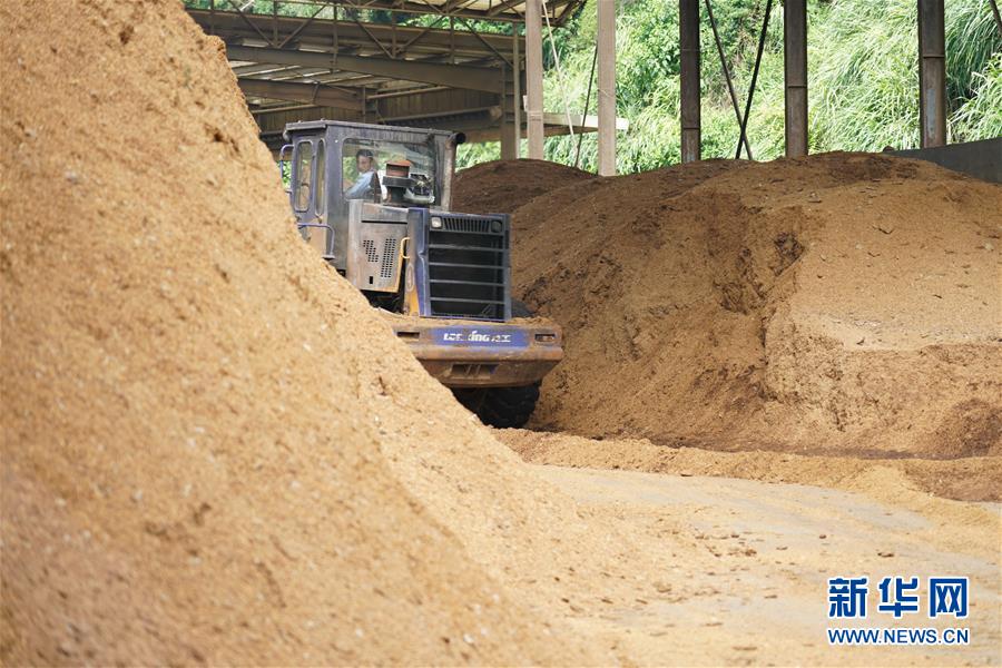 （在習(xí)近平新時代中國特色社會主義思想指引下&mdash;&mdash;新時代新作為新篇章&middot;總書記關(guān)心的百姓身邊事&middot;圖文互動）（4）大污染變身&ldquo;大寶藏&rdquo;：治理畜禽糞污，他們這樣干！