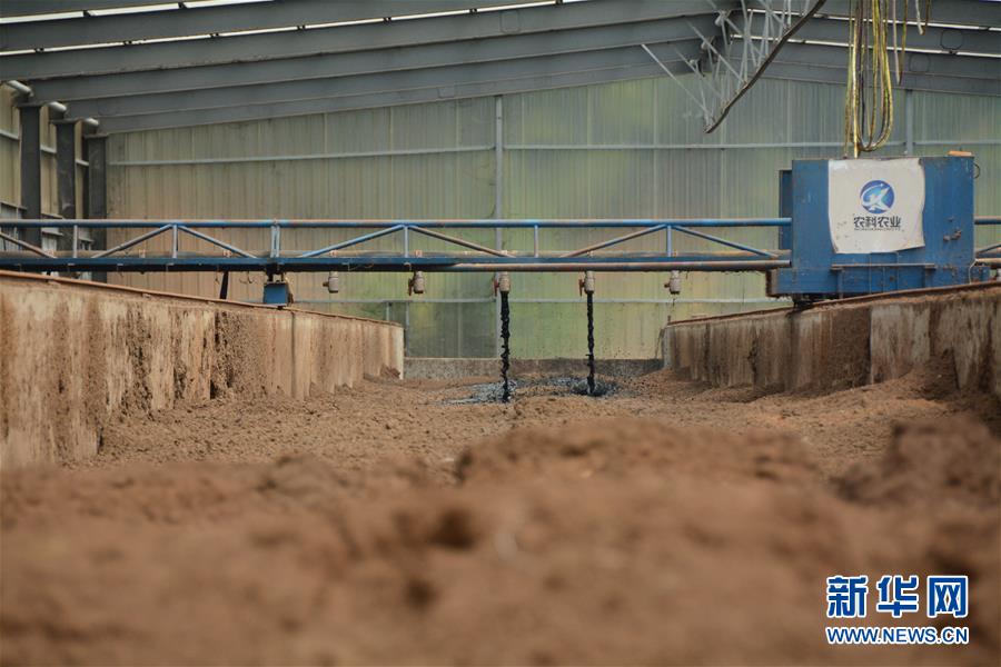 （在習(xí)近平新時代中國特色社會主義思想指引下&mdash;&mdash;新時代新作為新篇章&middot;總書記關(guān)心的百姓身邊事&middot;圖文互動）（5）大污染變身&ldquo;大寶藏&rdquo;：治理畜禽糞污，他們這樣干！