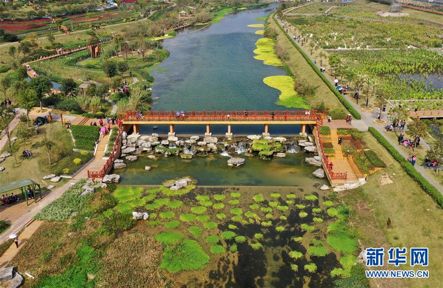 （壯麗70年 奮斗新時代&mdash;&mdash;推動高質量發(fā)展調研行&middot;圖文互動）（4）亮出一江清水優(yōu)質&ldquo;成績單&rdquo;&mdash;&mdash;廣西重點流域水環(huán)境綜合治理觀察