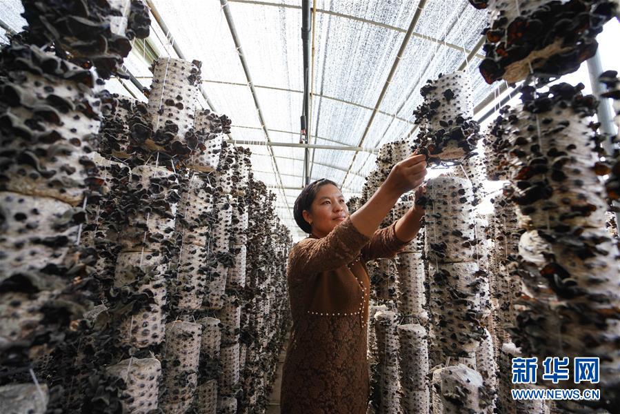 (新華全媒頭條·決戰(zhàn)決勝脫貧攻堅(jiān)·圖文互動(dòng))(6)以沖刺的狀態(tài)跑出決勝的姿態(tài)——“三區(qū)三州”甘肅深貧區(qū)脫貧攻堅(jiān)報(bào)告