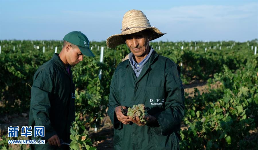 （新華全媒頭條&middot;圖文互動）（9）攜手鑄就非凡夢想&mdash;&mdash;寫在習(xí)近平主席提出構(gòu)建更加緊密的中非命運共同體一周年之際