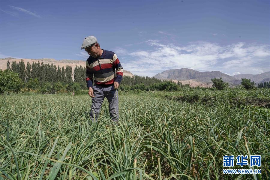 （決戰(zhàn)決勝脫貧攻堅(jiān)&middot;圖文互動）（6）記者手記：尋訪昆侖&ldquo;桃花源&rdquo;的&ldquo;祛病&rdquo;良方