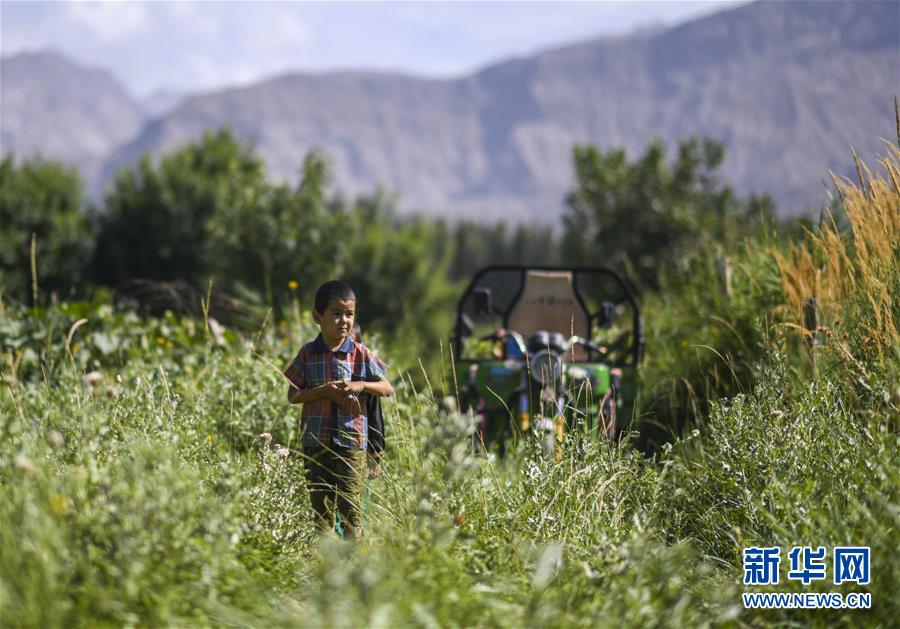 （決戰(zhàn)決勝脫貧攻堅(jiān)&middot;圖文互動）（5）記者手記：尋訪昆侖&ldquo;桃花源&rdquo;的&ldquo;祛病&rdquo;良方