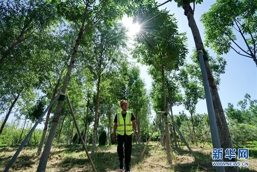 (壯麗70年·奮斗新時代·重溫囑托看變化·圖文互動)(1)雄安新區(qū):錨定高質(zhì)量發(fā)展 奮力書寫新時代答卷