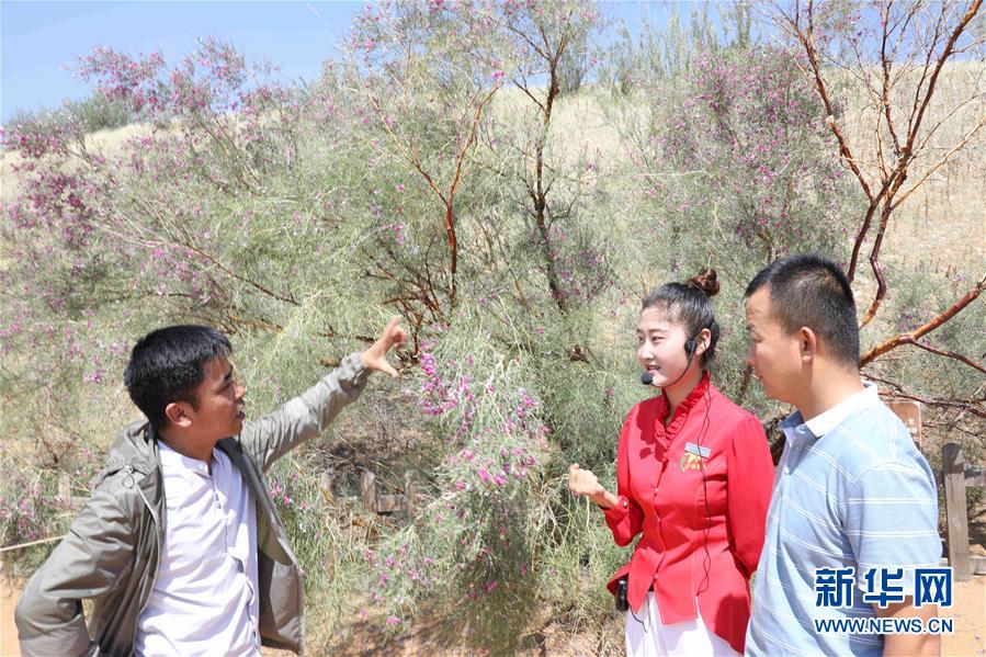(走讀黃河·圖文互動)(2)中衛(wèi):33萬畝沙區(qū)變灌區(qū)