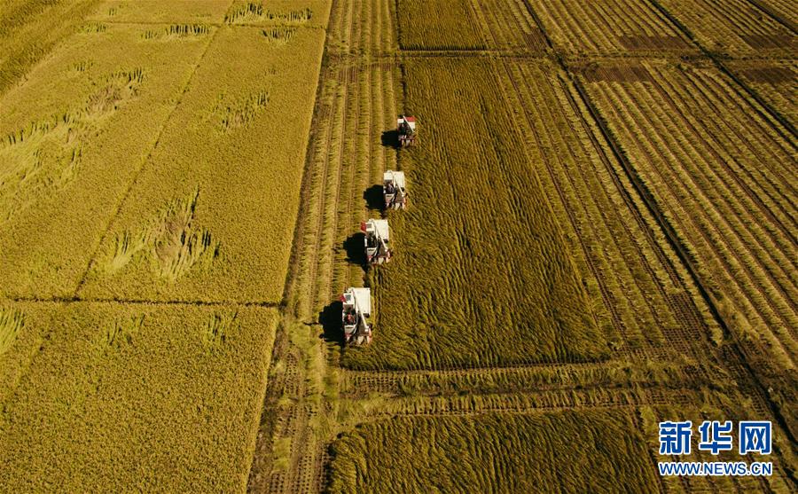 （新華全媒頭條&middot;圖文互動）（5）紅色的傳承，藍圖的起點&mdash;&mdash;新中國孕育與發(fā)展的&ldquo;東北記憶&rdquo;