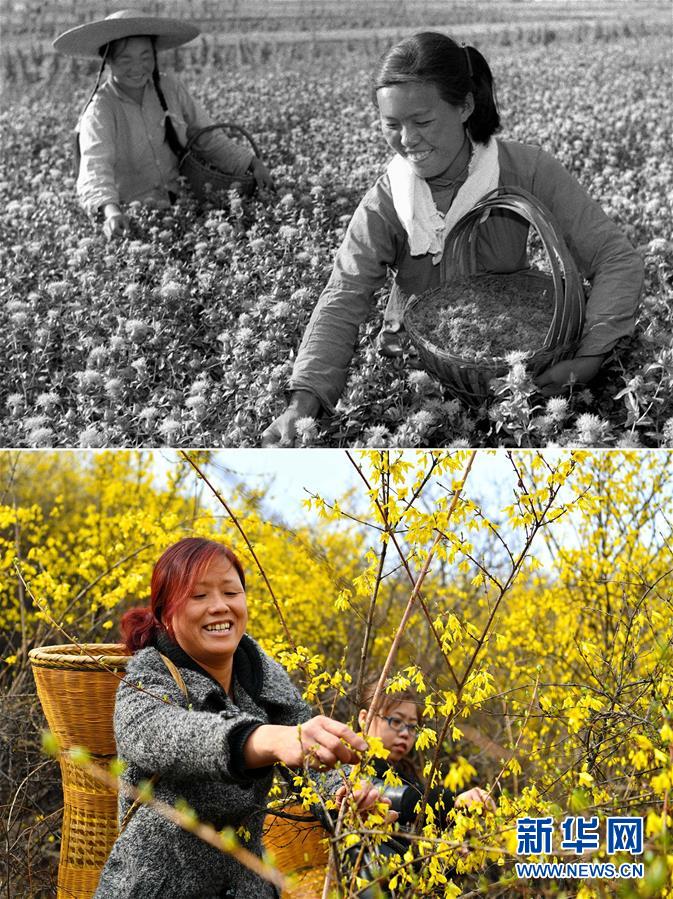 (壯麗70年·奮斗新時(shí)代)(3)70年時(shí)光流影 70行見(jiàn)證發(fā)展