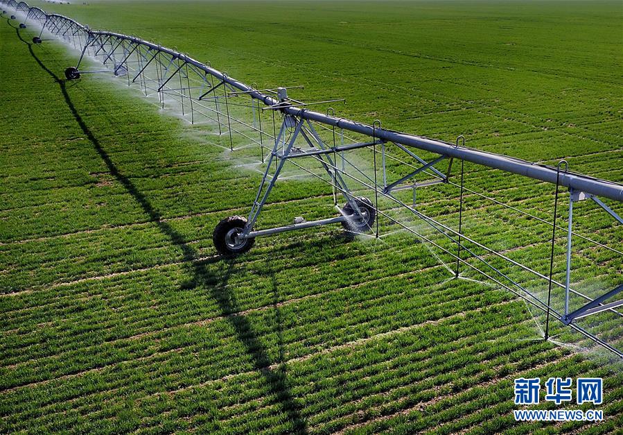 (新華全媒頭條·圖文互動(dòng))(4)大國(guó)糧倉(cāng)的新時(shí)代交響——河南農(nóng)業(yè)70年觀(guān)察