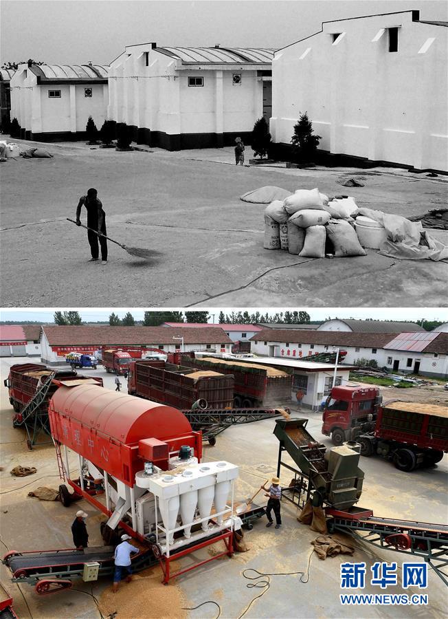 (新華全媒頭條·圖文互動(dòng))(9)大國(guó)糧倉(cāng)的新時(shí)代交響——河南農(nóng)業(yè)70年觀(guān)察