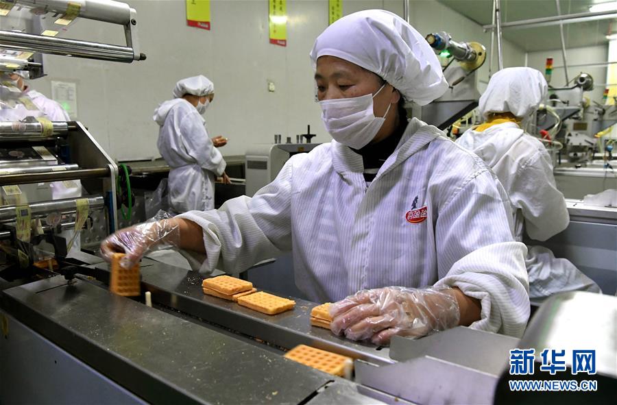 (新華全媒頭條·圖文互動(dòng))(13)大國(guó)糧倉(cāng)的新時(shí)代交響——河南農(nóng)業(yè)70年觀(guān)察