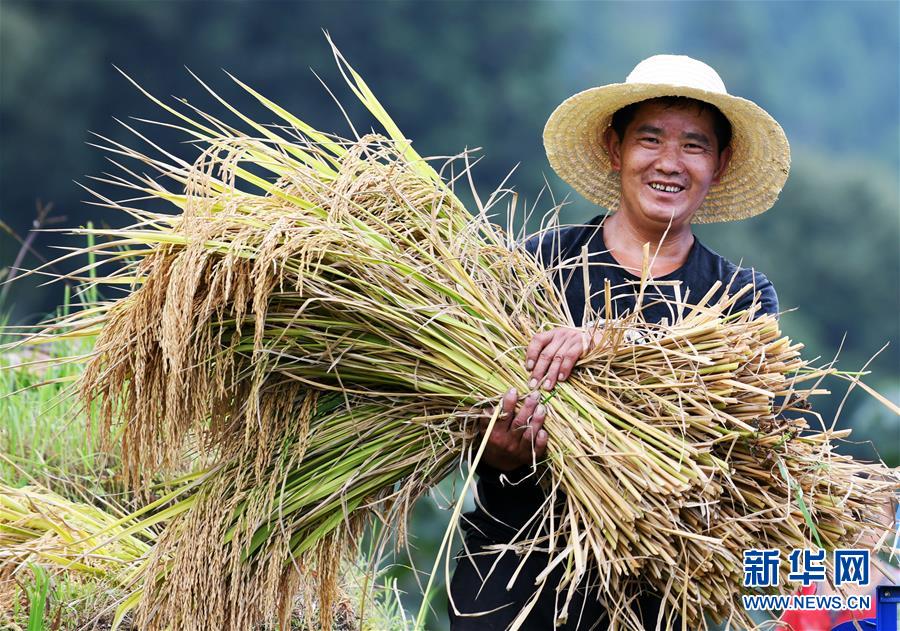 （全面深化改革&middot;圖文互動(dòng)）（2）&ldquo;減&rdquo;出效益 &ldquo;融&rdquo;出特色 &ldquo;服&rdquo;出動(dòng)力&mdash;&mdash;貴州推進(jìn)農(nóng)村產(chǎn)業(yè)結(jié)構(gòu)調(diào)整觀察