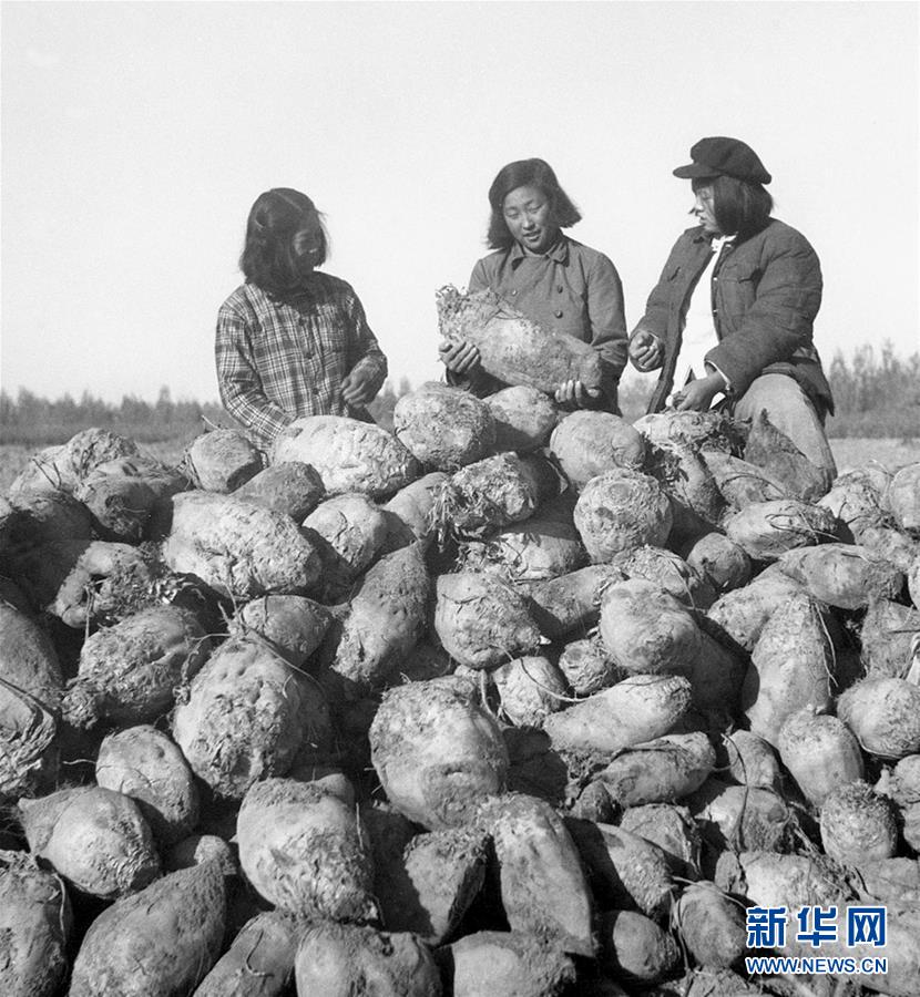 （圖文互動(dòng)）（2）為了&ldquo;中國(guó)號(hào)&rdquo;巨輪揚(yáng)帆遠(yuǎn)航&mdash;&mdash;中國(guó)共產(chǎn)黨領(lǐng)導(dǎo)下的人民軍隊(duì)忠于祖國(guó)、服務(wù)人民啟示錄