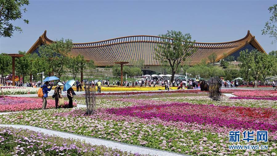 （新華全媒頭條&middot;圖文互動(dòng)）（6）難忘的&ldquo;世園記憶&rdquo; 共同的綠色追求&mdash;&mdash;寫(xiě)在北京世園會(huì)閉幕之際