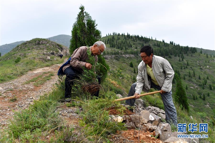 （圖文互動）（2）&ldquo;退休20年，咱就干了這么一件事&rdquo;&mdash;&mdash;記山西水利廳退休干部高文毓的&ldquo;綠山夢&rdquo;