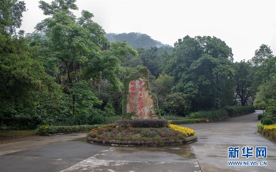 (圖文互動(dòng))(1)科學(xué)接續(xù)保護(hù) 守住生態(tài)紅線——探訪“北回歸沙漠帶上的綠色明珠”