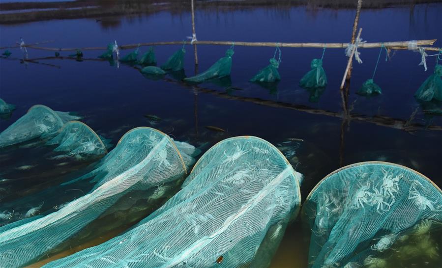 (在習近平新時代中國特色社會主義思想指引下——新時代新作為新篇章·總書記關心的百姓身邊事·圖文互動)(2)水潤民心——全國農(nóng)村飲水安全攻堅成效觀察