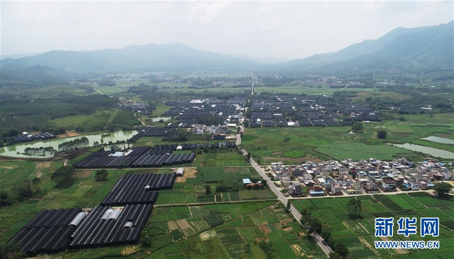 (在習近平新時代中國特色社會主義思想指引下——新時代新作為新篇章·總書記關心的百姓身邊事·圖文互動)(1)“科技秀才”給田野帶來新希望