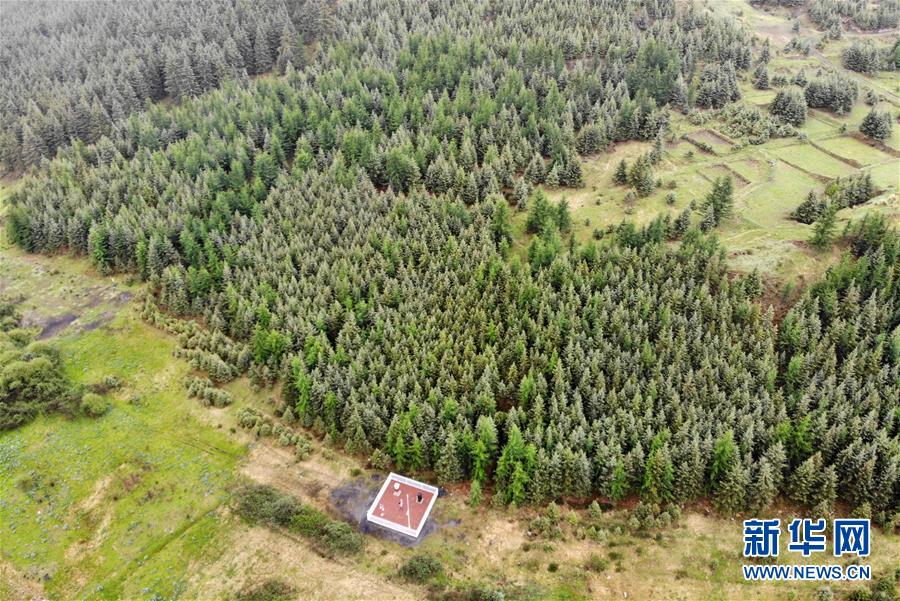 （新華全媒頭條&middot;圖文互動(dòng)）（11）綠色的啟示&mdash;&mdash;西部地區(qū)生態(tài)問(wèn)題典型個(gè)案再調(diào)查