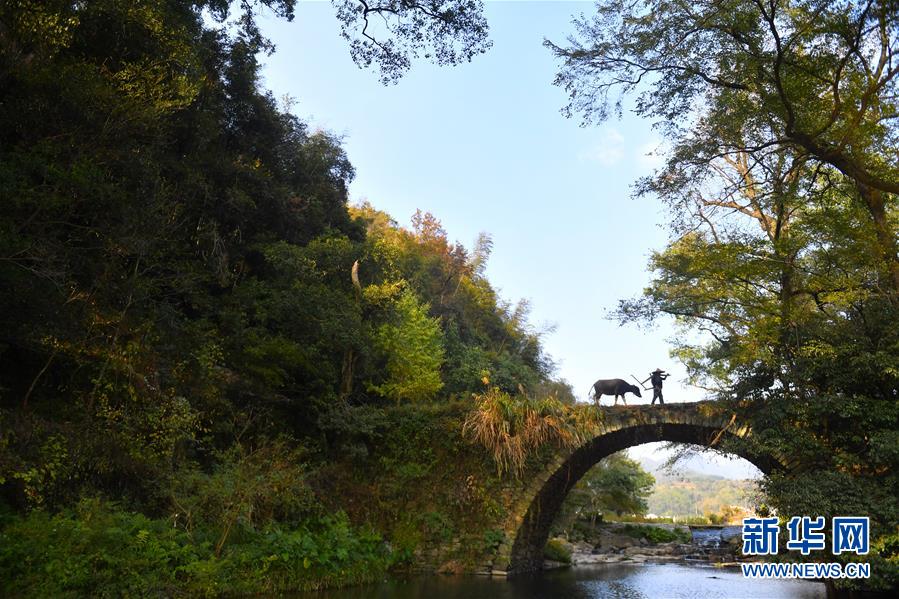 （圖文互動）（3）鄉(xiāng)村攝影師、鄉(xiāng)村&ldquo;模特&rdquo;、民宿店主&mdash;&mdash;鄉(xiāng)村旅游推動婺源農(nóng)民生活方式發(fā)生新變化