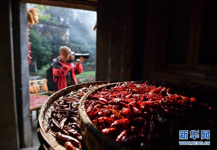 （圖文互動）（6）鄉(xiāng)村攝影師、鄉(xiāng)村&ldquo;模特&rdquo;、民宿店主&mdash;&mdash;鄉(xiāng)村旅游推動婺源農(nóng)民生活方式發(fā)生新變化