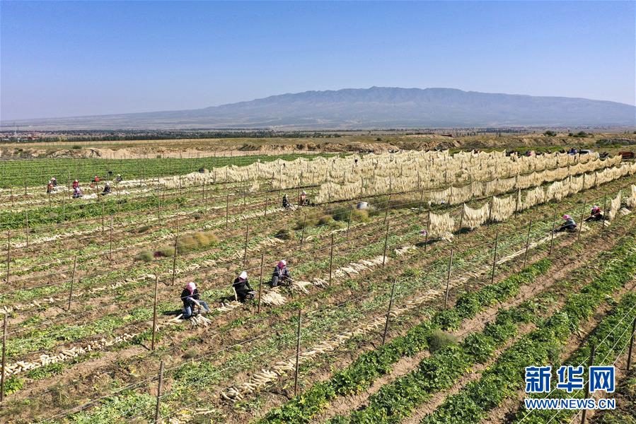 （新華全媒頭條&middot;圖文互動）（13）從水困到水興&mdash;&mdash;寧夏&ldquo;水樣本&rdquo;中的發(fā)展密碼