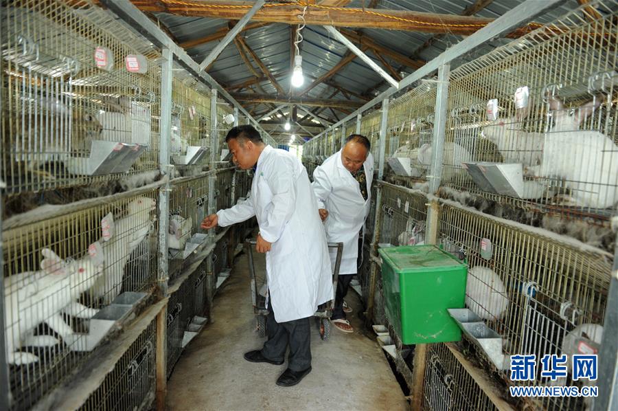 （新華全媒頭條&middot;圖文互動(dòng)）（4）干部去哪兒了？&mdash;&mdash;貴州干部大規(guī)模下沉脫貧攻堅(jiān)一線紀(jì)實(shí)