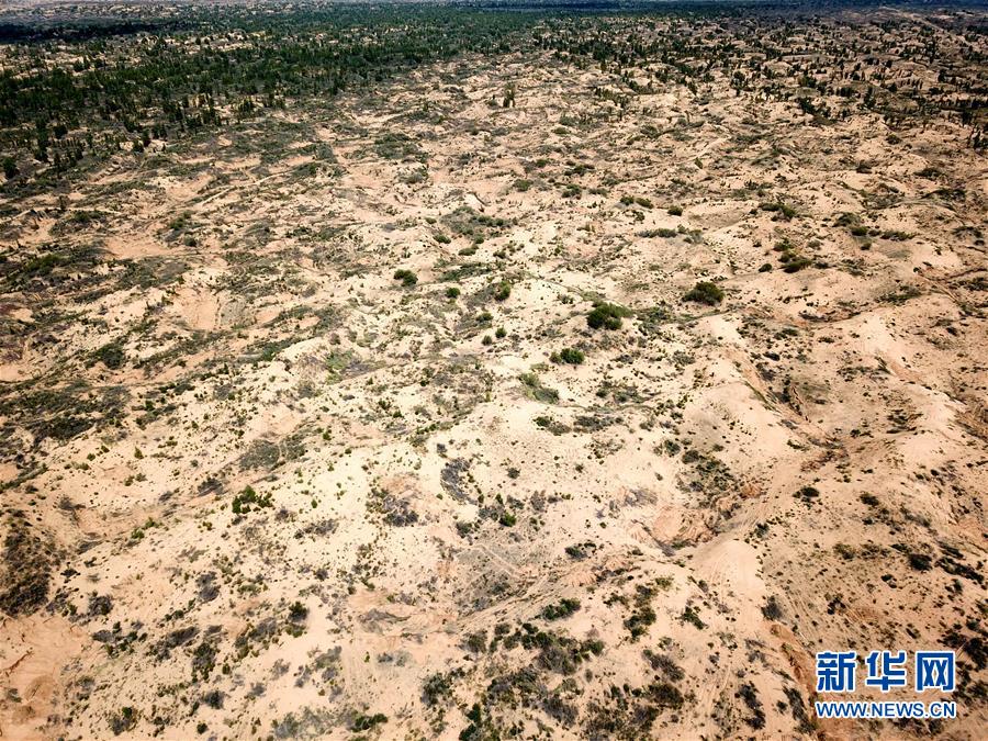 （圖文互動）（2）陜西榆林毀林建光伏電站追蹤：還有哪些疑團(tuán)有待破解？ 