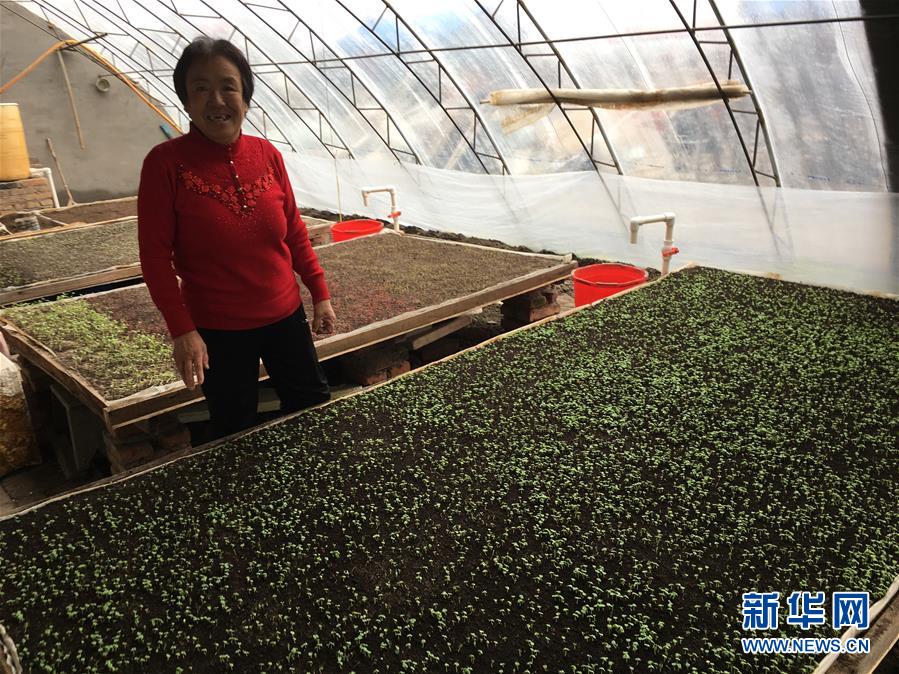 （脫貧攻堅(jiān)&middot;圖文互動(dòng)）（1）中國(guó)東極故事之三：&ldquo;花匠&rdquo;姜連玉的&ldquo;重生&rdquo;路