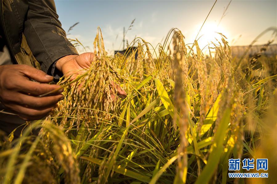 （新華全媒頭條&middot;兩會(huì)特別報(bào)道&middot;圖文互動(dòng)）（2）開拓更加寬廣的高質(zhì)量發(fā)展前景&mdash;&mdash;從全國(guó)兩會(huì)看奮進(jìn)中國(guó)的堅(jiān)定步伐