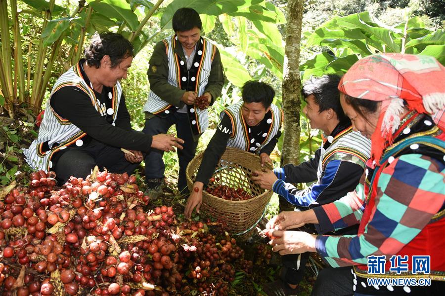 （在習(xí)近平新時代中國特色社會主義思想指引下&mdash;&mdash;新時代新作為新篇章&middot;總書記關(guān)切脫貧事&middot;決勝貧困&middot;圖文互動）（4）讓一方水土&ldquo;富養(yǎng)&rdquo;一方人&mdash;&mdash;扶貧特色產(chǎn)業(yè)惠及千家萬戶