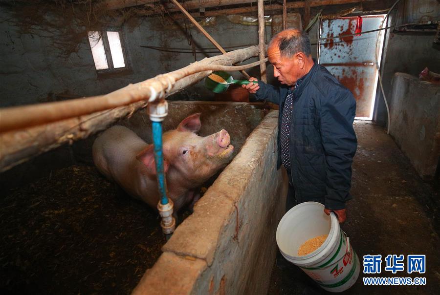 (新春走基層·圖文互動(dòng))(2)“終于有人敢登門給兒子提親了”——張景富脫貧記