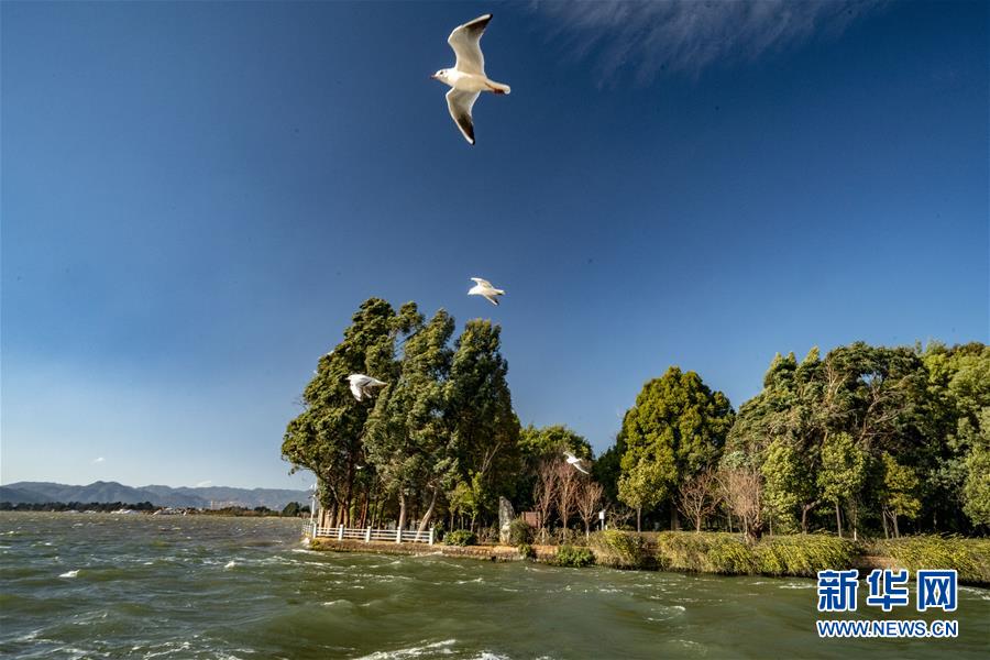 （圖文互動(dòng)）（7）跨越發(fā)展起宏圖 信心滿懷著華章&mdash;&mdash;習(xí)近平總書(shū)記考察云南回訪記