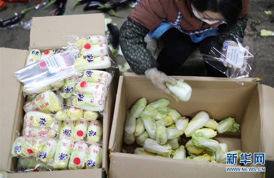 （聚焦疫情防控&middot;圖文互動）（2）特寫：蔬菜批發(fā)市場里感受&ldquo;春&rdquo;意