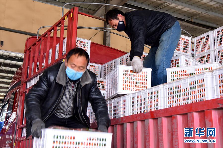 （聚焦疫情防控&middot;圖文互動）（5）吃的東西充足，做點(diǎn)花樣菜吧！&mdash;&mdash;中部地區(qū)最大農(nóng)產(chǎn)品批發(fā)市場見聞 