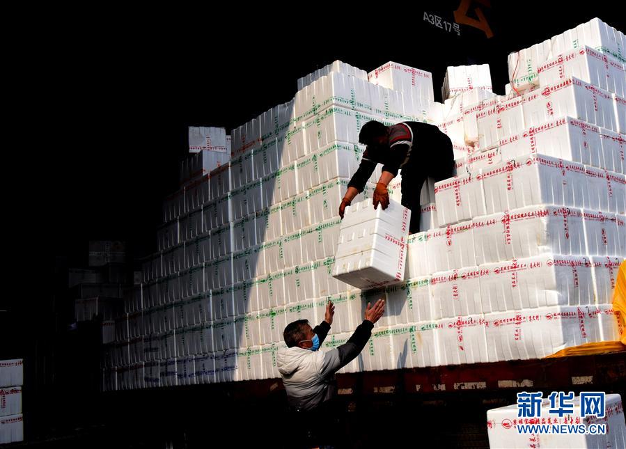 （聚焦疫情防控&middot;圖文互動）（4）吃的東西充足，做點(diǎn)花樣菜吧！&mdash;&mdash;中部地區(qū)最大農(nóng)產(chǎn)品批發(fā)市場見聞 