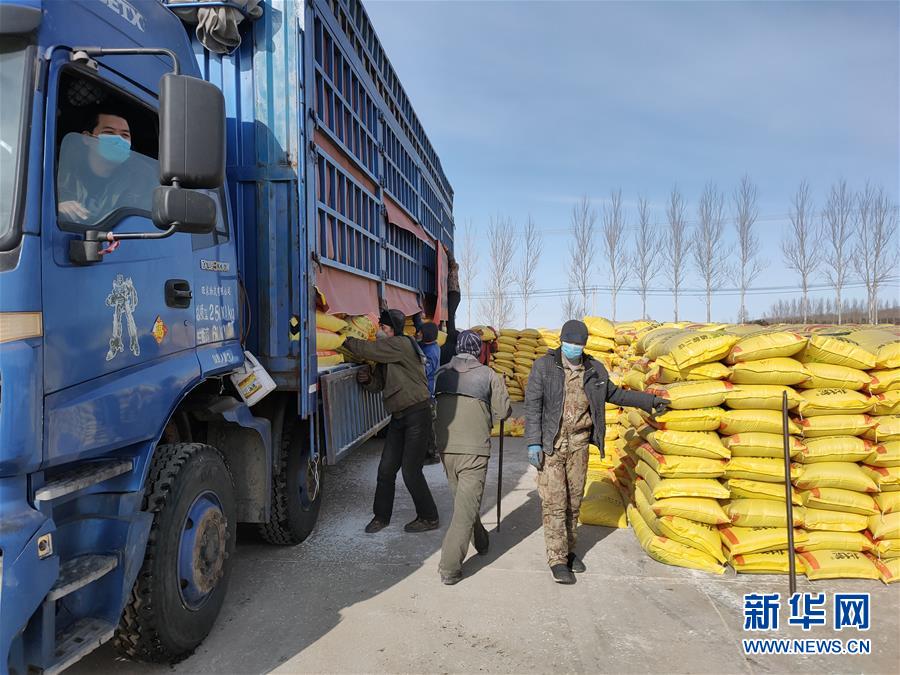 （春耕備耕&middot;圖文互動(dòng)）（1）&ldquo;疫&rdquo;線(xiàn)賽農(nóng)時(shí) 播種新希望&mdash;&mdash;產(chǎn)糧大省黑龍江別樣&ldquo;備耕圖&rdquo;