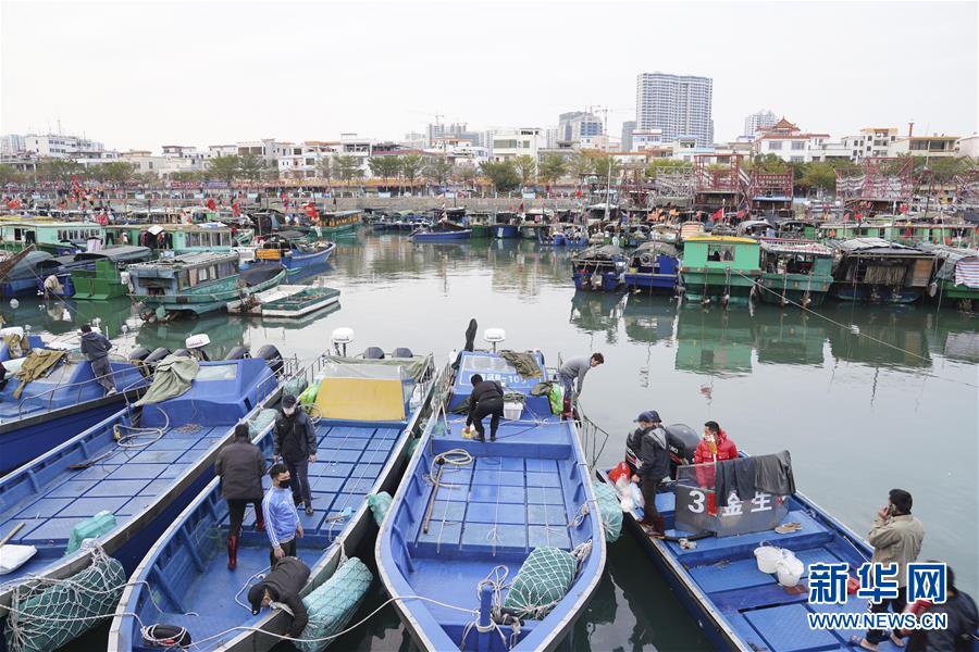 (圖文互動)(1)與疫情抗?fàn)?與春光同行——廣西農(nóng)村春耕備耕一線觀察